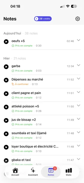 Capture Misika — Notes vocales enregistrées depuis l’Accueil